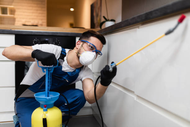 Best Emergency Pest Control  in Chevy Chase View, MD