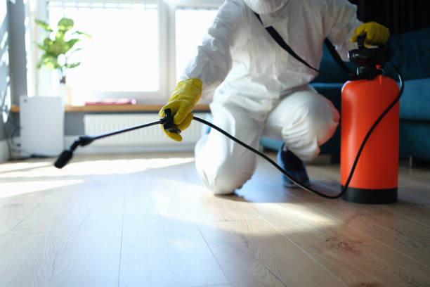 Flea Control Services in Chevy Chase View, MD