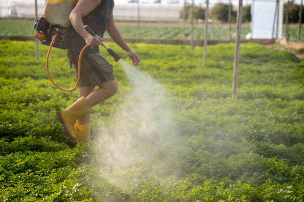 Best Mosquito Control Services  in Chevy Chase View, MD