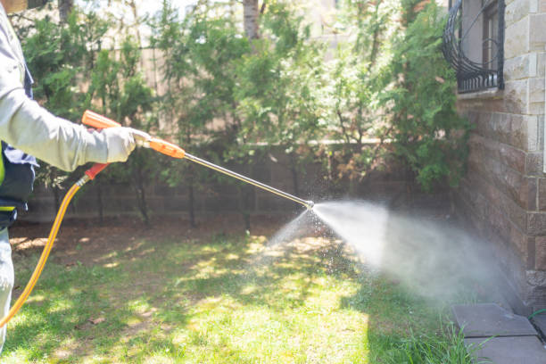 Best Affordable Pest Control Services  in Chevy Chase View, MD