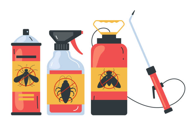 Best Ant Control Services  in Chevy Chase View, MD