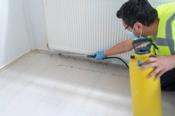 Trusted Chevy Chase View, MD Pest Control Experts
